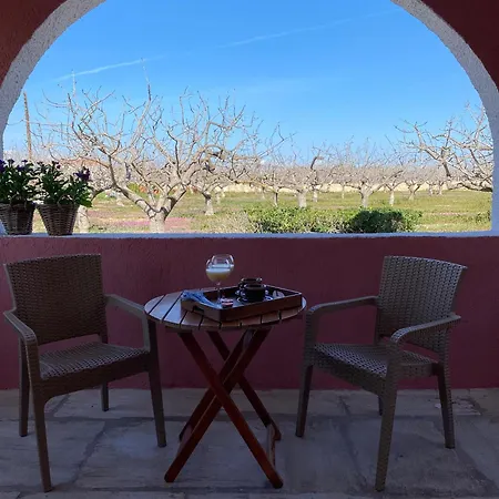 Oinopia Apartments Aegina Buitenkant foto